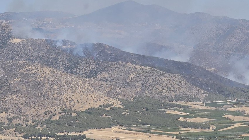 Manisa Alaşehir'de çıkan orman yangınına müdahale ediliyor