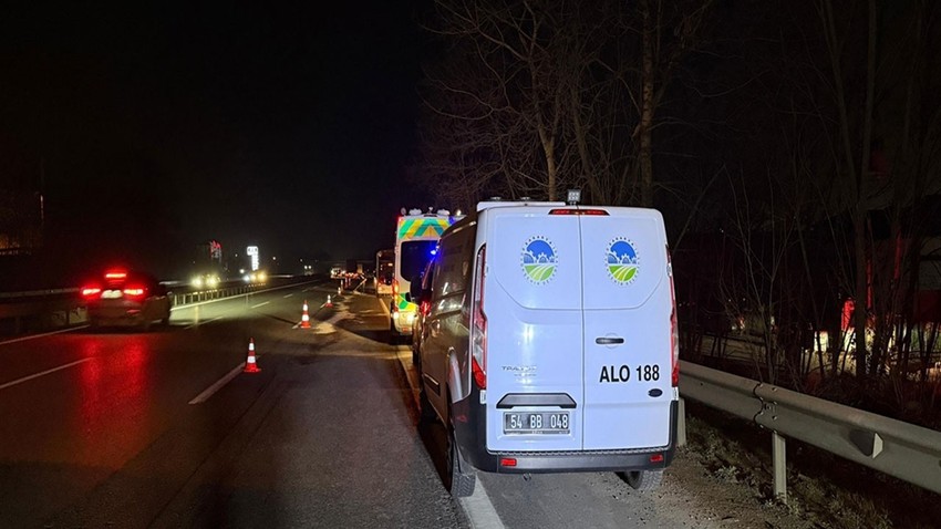 Otoyolda feci ölüm! Çok sayıda araç çarparak parçaladı: Kimliği belli oldu