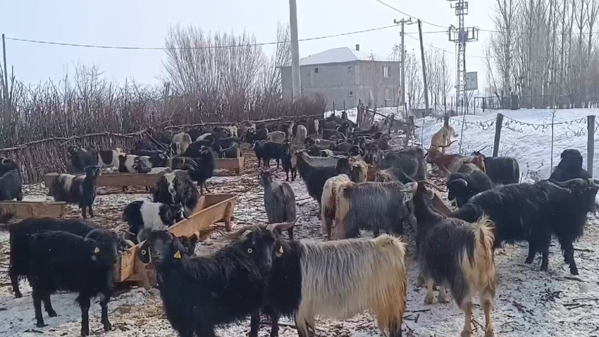 Muş'ta etkili olmasının ardından çiftçi ve besicilerin yüzünü güldürdü. Günlük hayatı olumsuz etkiledi