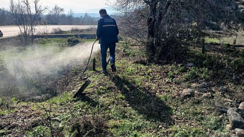 Aydın'da görevli ekipler, hazırlıklara başladı. Her yeri ilaçlıyorlar