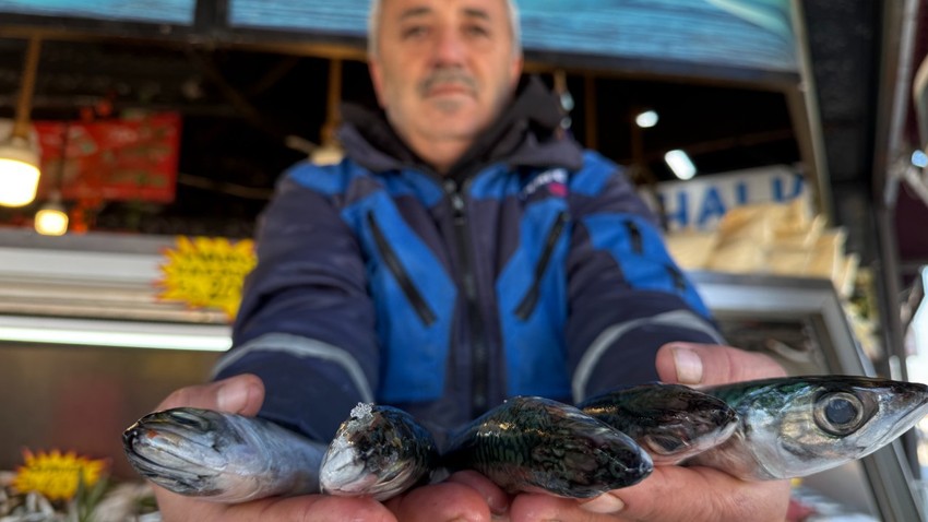 Tezgahın en ucuz balığı! Kilosu 100 liradan satılıyor