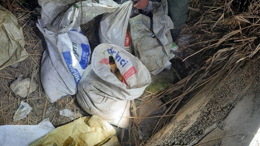 Kızılırmak Nehri'nde suçüstü yakalandılar! Açıldıkları şişme botun içinde kaçak avladıkları 59 balık ele geçirildi