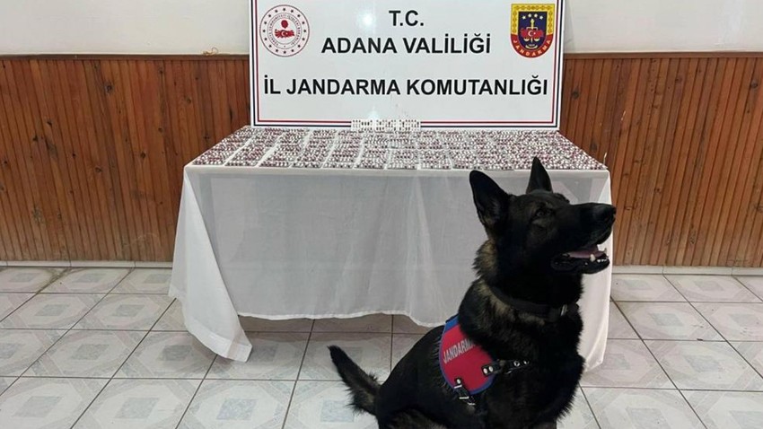 Adana'da uyuşturucu operasyonu: 1 kişi gözaltına alındı!