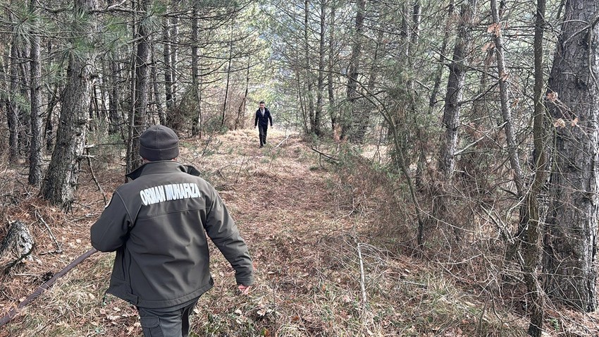 Bolu'da ormanlık alanda örtü yangını: 1 dönümlük alan zarar gördü!