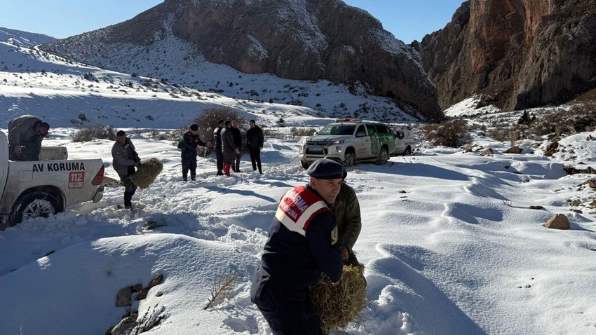 Niğde'de her yer karla kaplandıktan sonra ekipler soluğu arazide aldı. Bu kez onları hayatta tutmak için harekete geçtiler