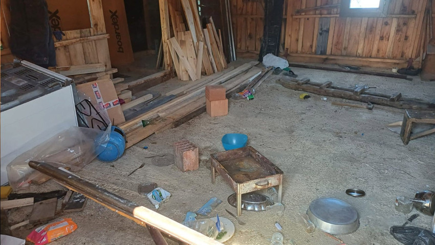 Trabzon'da ayılar 7 yayla evine zarar verdi
