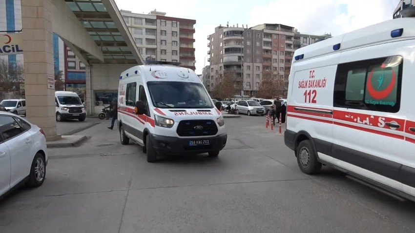 Atın teptiği Zerda, ağır yaralandı