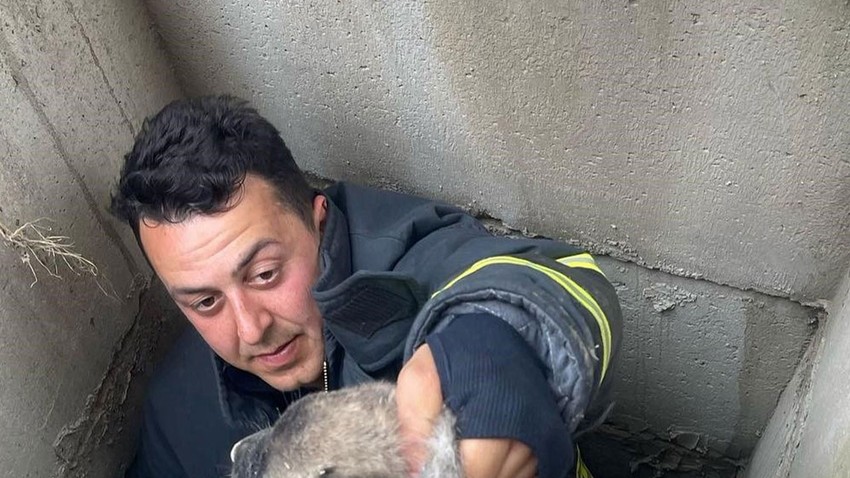 Hatay'da vatandaşlar kuyudan gelen sesleri fark ettiler. Kuyunun içine bakınca onları görenler hemen itfaiye ekiplerine haber verdi
