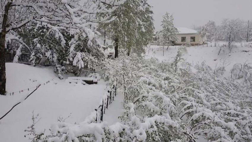 Karadeniz'in gözbebeği fındıkta büyük tehlike! Endişeli bekleyiş sürüyor
