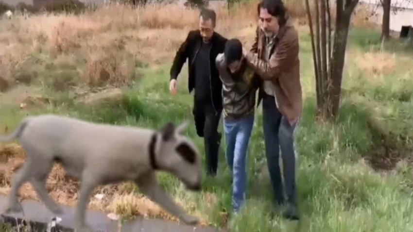 Türkiye'de 30, Ankara'da 2 taneydi! 430 bin lira değerindeki köpeği çaldı!