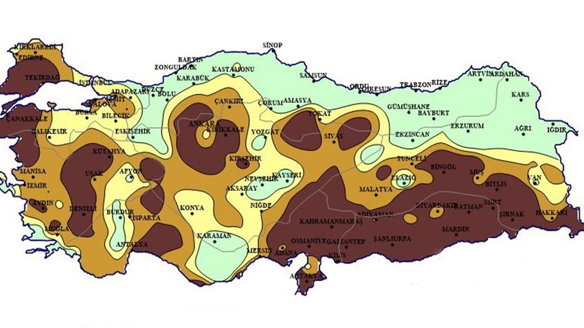 Türkiye'de 12 ay boyunca sürdü daha da sürecek! Bir bölgemize korkunç kahverengi uyarısı