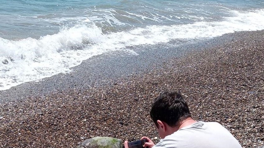 Antalya'da nesli tükenme tehdidi altındaki hayvan sahile vurdu. Hareketsiz olduğunu görenler ekiplere haber verdi. İnceleme başlatıldı