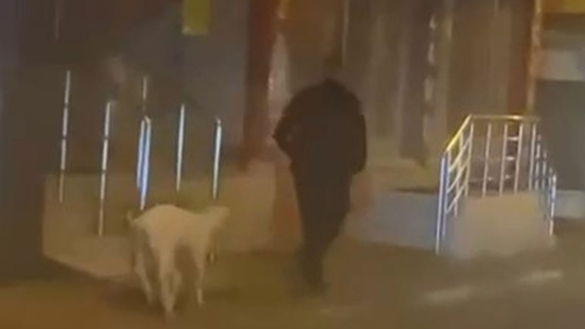Bursa'da sokakta gezerken görenler şaştı kaldı. Eğittiği evcil hayvanını sokak sokak gezdirdi
