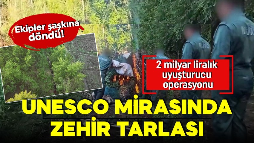 UNESCO mirasında zehir tarlası! Ekipler şaşkına döndü! 2 milyar liralık uyuşturucu operasyonu