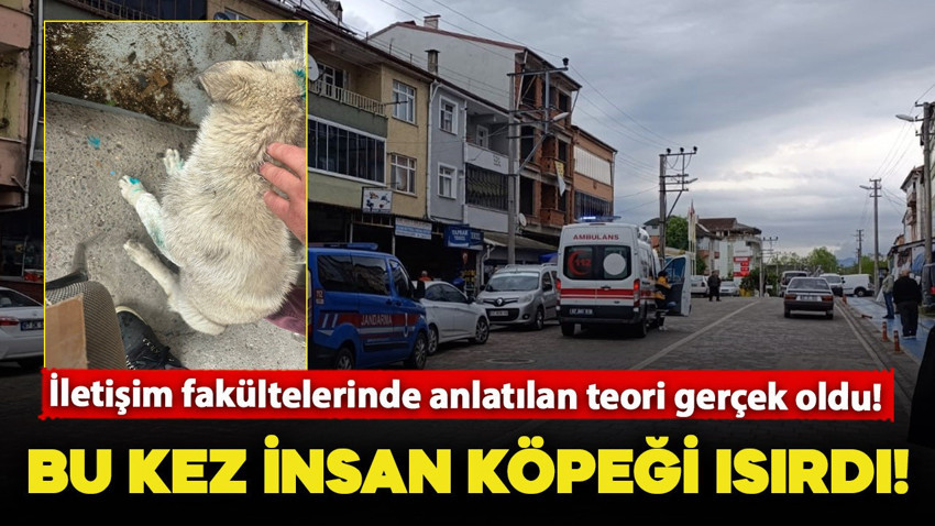 İletişim fakültelerinde anlatılan teori gerçek oldu! Bu kez insan köpeği ısırdı