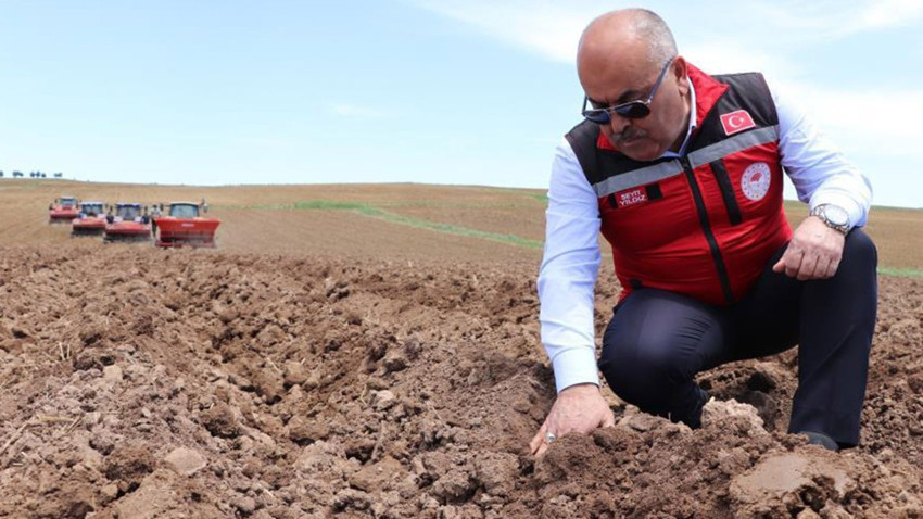 Sivas’ta toprağa ekilmeye başlandılar. Toplandıklarında Türkiye'nin her yerine dağılacaklar