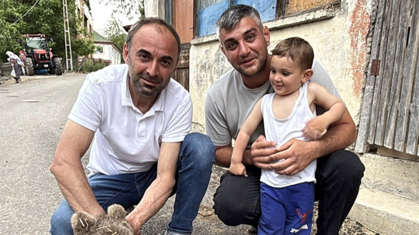 Sinop’ta annesinden ayrılmış yavru ayı koruma altına alındı