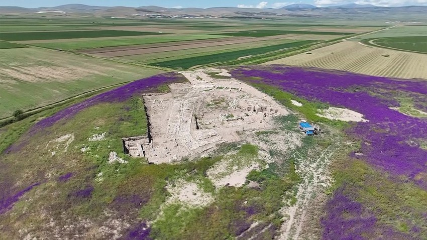 Amasya’daki Oluz Höyük’ü mor çiçekler sardı. Çiçekleri gören vatandaşlar manzara karşısında büyülendi