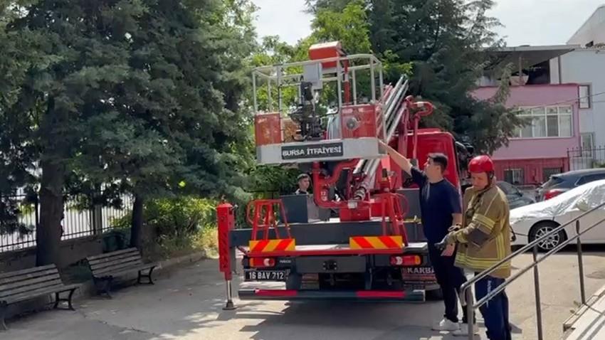 Bursa’da ağaçta mahsur kalan hayvanlar itfaiye tarafından kurtarıldı