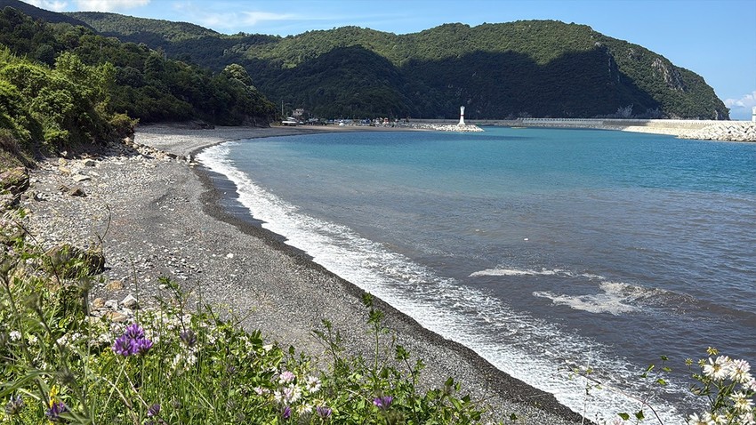 Bartın Amasra’da deniz kirliliği gittikçe artıyor. Ekipler numune alarak inceleme başlattı