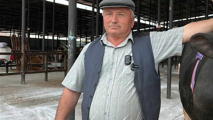 Tamı tamına 1,2 ton ağırlığındaki hayvana 350.000 TL'ye 7 ortak satın aldı. Kişi başı 50.000 TL ödeyecekler