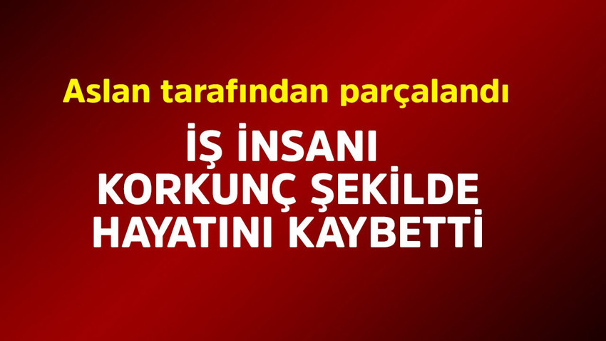 İş insanının korkunç ölümü! Safari için gittiği bölgede aslan tarafından parçalandı