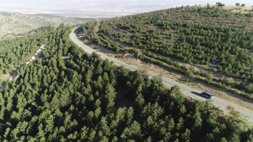Kırıkkale’de ormanlara giriş yasaklandı. Orman yangınları için önlem amaçlı alınan karar 1 Haziran–31 Ekim boyunca geçerli olacak