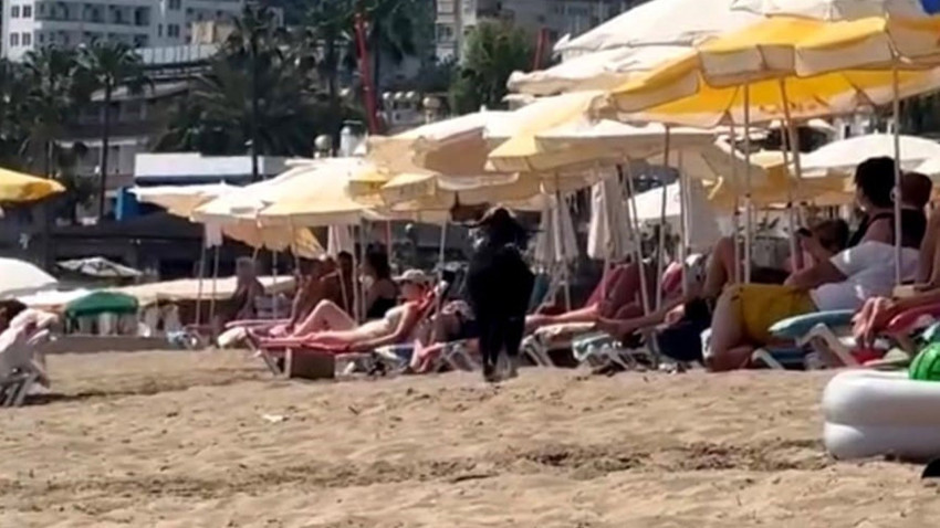 Alanya’da Kurbanlık hayvan kaçtı, sahiplerinin peşinde koşturan hayvan plajda görüntülendi