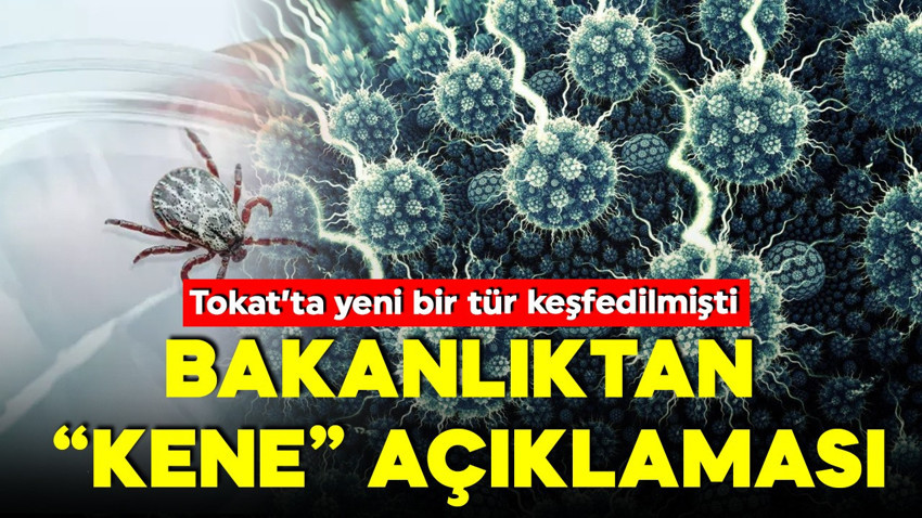 Yaz geldi, vakalar başladı! Sağlık Bakanlığı hem açıklama yaptı hem de uyardı