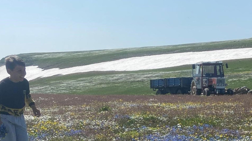 Ardahan’da aynı gün içinde iki mevsim yaşandı. Çataldere Yaylası’nda kar ve bahar çiçekleri bir arada görüntülendi