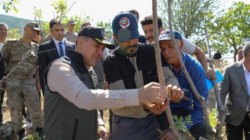 Bingöl’de 2025 yılı fıstık aşılama çalışmaları başladı