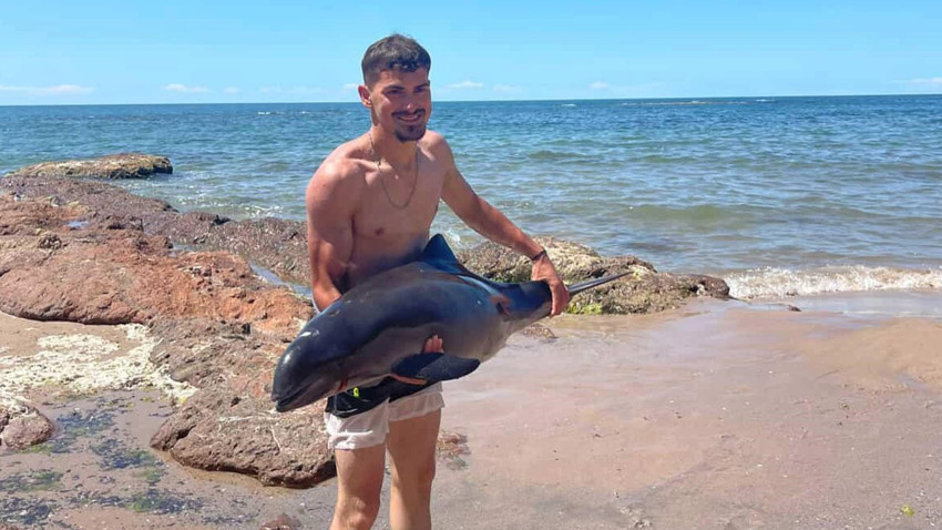 Bartın Amasra Bozköy plajında yaralı yunus sahile vurdu, vatandaşlar tarafından yeniden denize salındı