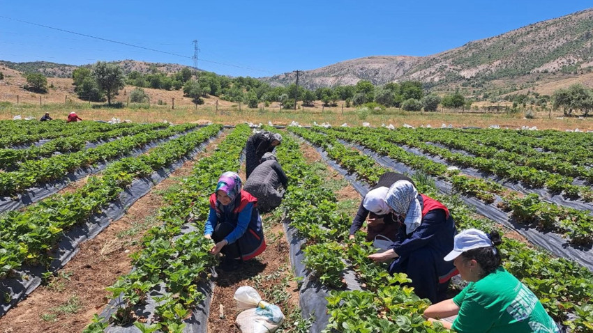 Konya’nın Bozkır ilçesinde kadın çiftçilere yönelik eğitim ve destek programları sürüyor