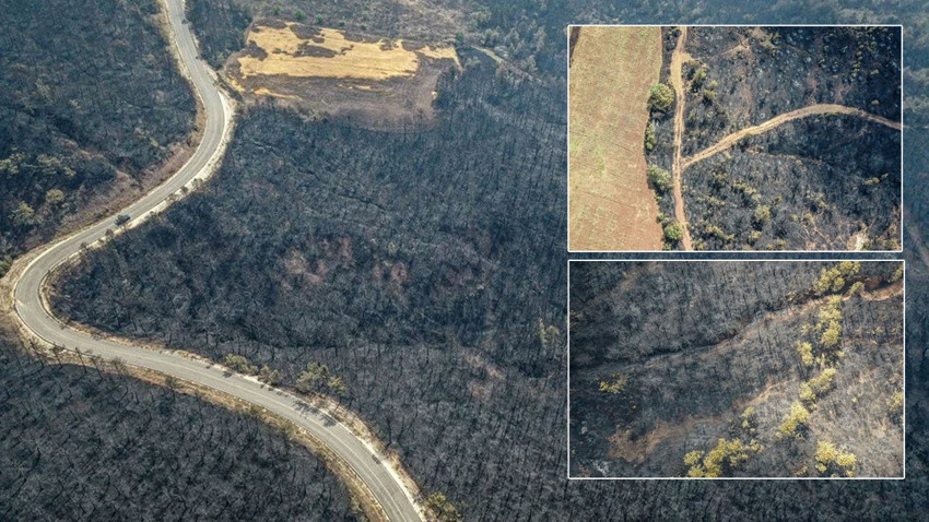 Bilecik orman yangınıyla mücadele ediyor! Yeşil siyaha döndü, yanan alanlar havadan görüntülendi