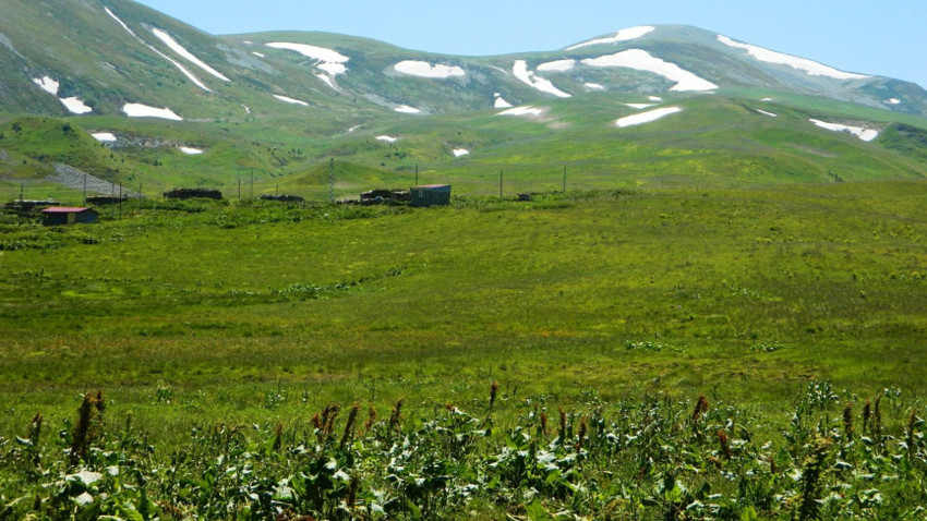 Ardahan Posof’ta yayla yolculuğu başladı, göç yayla yoğunluğunu azalttı