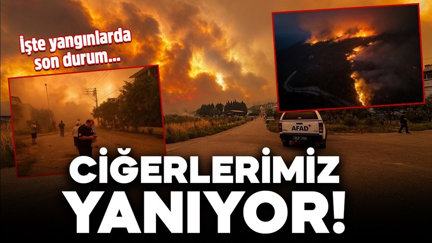 Ciğerlerimizi yakan yangınlarda son durum! Birçok noktada alevlerle mücadele ediliyor