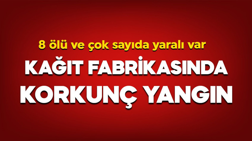 Kağıt fabrikasında korkunç yangın: 8 ölü, 26 yaralı