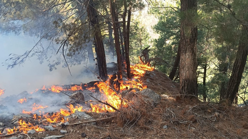 Kozan'da orman yangını 25 saat sonra kontrol altında