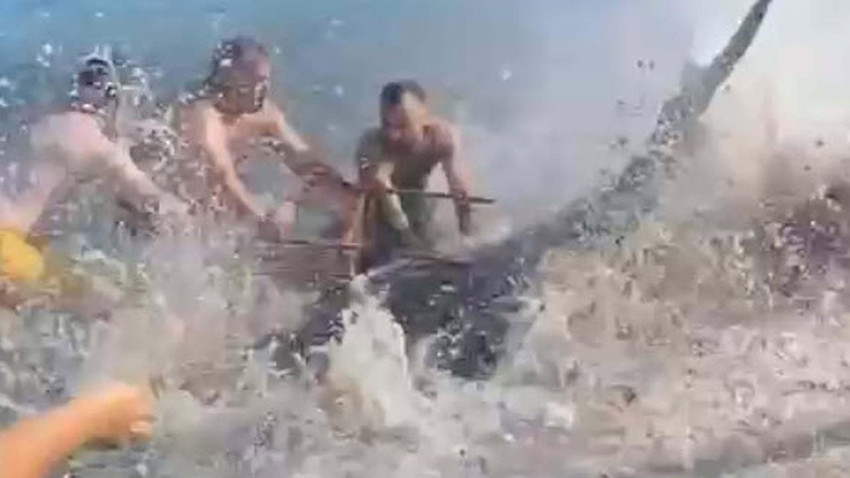 Çeşme'de kıyıya vuran orkinoslar için inceleme başlatıldı!