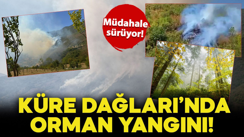 Küre Dağları Milli Parkı'nda orman yangını!