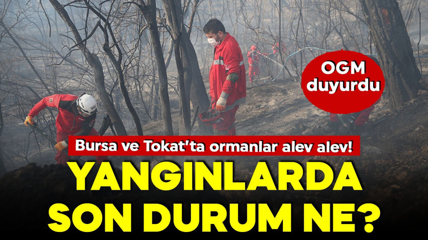 Bursa ve Tokat’ta orman yangını! Son durum ne? OGM açıkladı