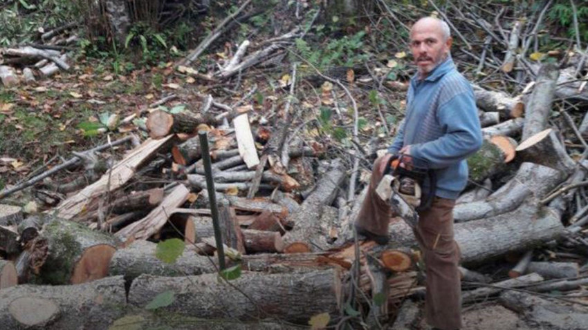 Rize'de feci olay! Kestiği ağacın altında kalıp öldü