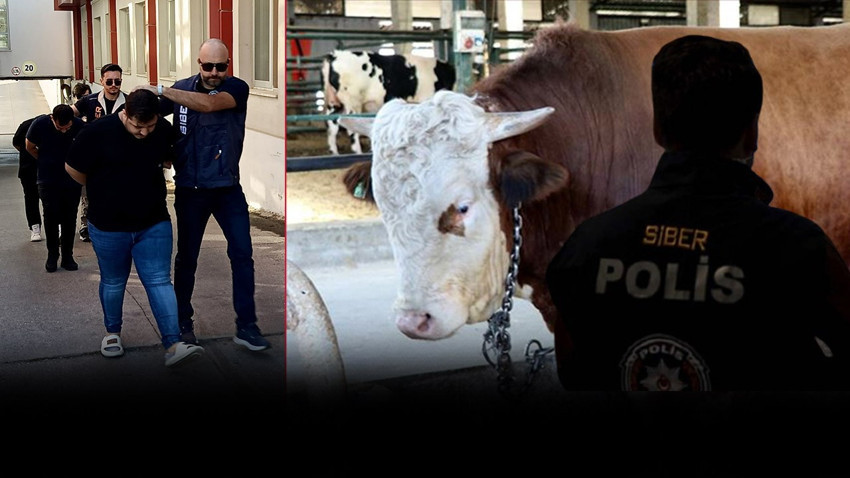 Adana'da akıl almaz dolandırıcılık! Boğa alacakken Sazan Sarmalı kurbanı oldular