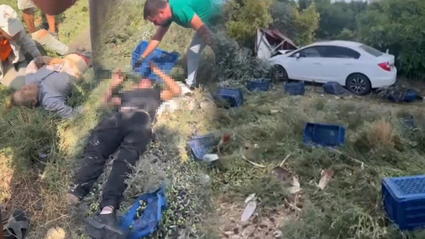 Bahçede korkunç olay! Zeytin toplayan işçi feci şekilde can verdi: Yaralılar var