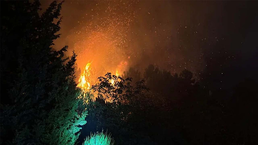 İstanbul'da orman yangını