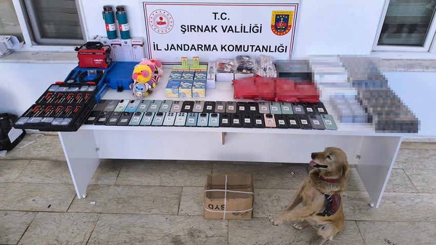 Şırnak'ta kaçakçılık operasyonu: 3 kişi tutuklandı