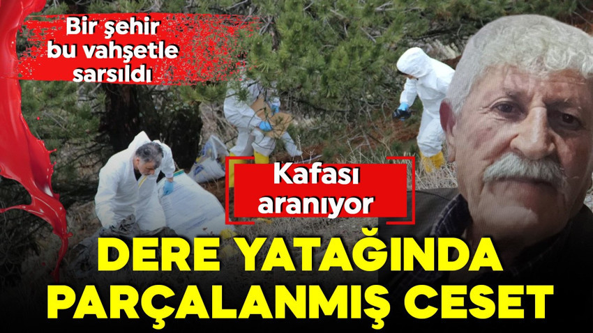 Çorum’da tüyler ürperten cinayet! Cesedi parçalara ayırıp poşetlemişler! Kafa kısmı her yerde aranıyor