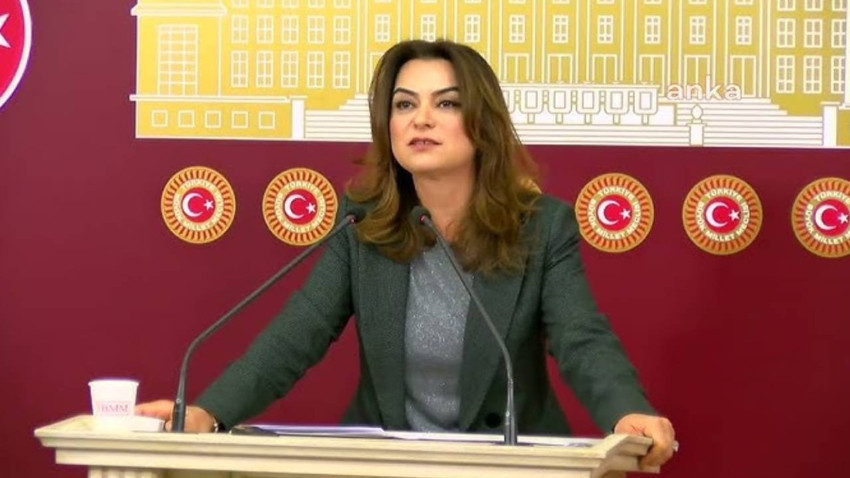 DEM Partili Koçyiğit'ten süreç çağrısı: Daha hızlı olalım