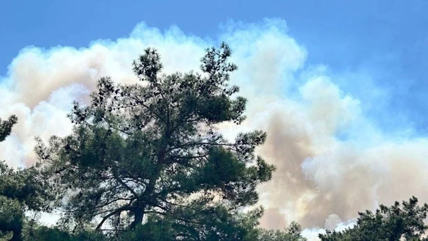 Çanakkale alev alev: 2 bin 90 kişi tahliye edildi! İşte yangınlarla mücadelede son durum - Resim : 11