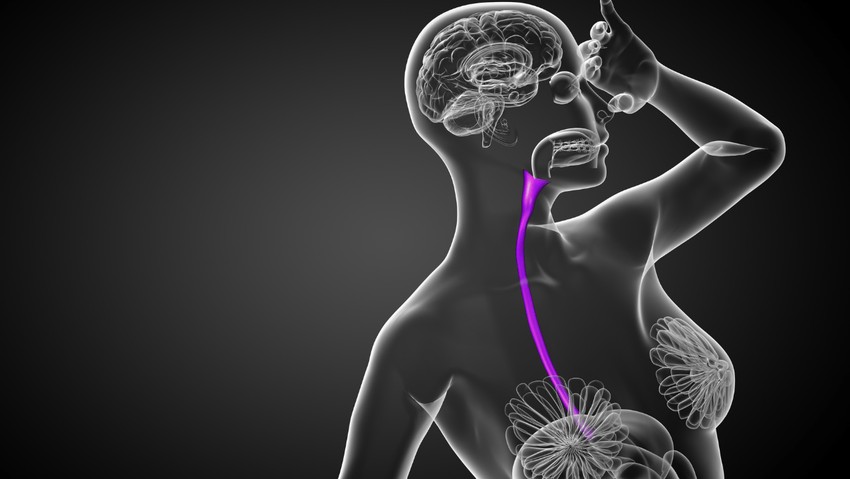 Yemek borusu iltihabı nedir? Yemek borusu iltihabı teşhisi nasıl yapılır? Yemek borusu iltihabı tedavisi nasıl yapılır? - Resim : 2